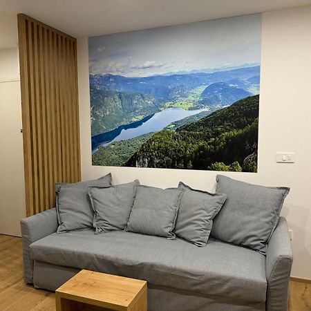 Apartma Tisa Bohinj-No Ouside Windows Bagian luar foto